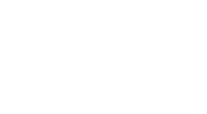 Ethic Rebels